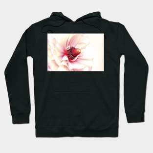 Center of a flower Hoodie